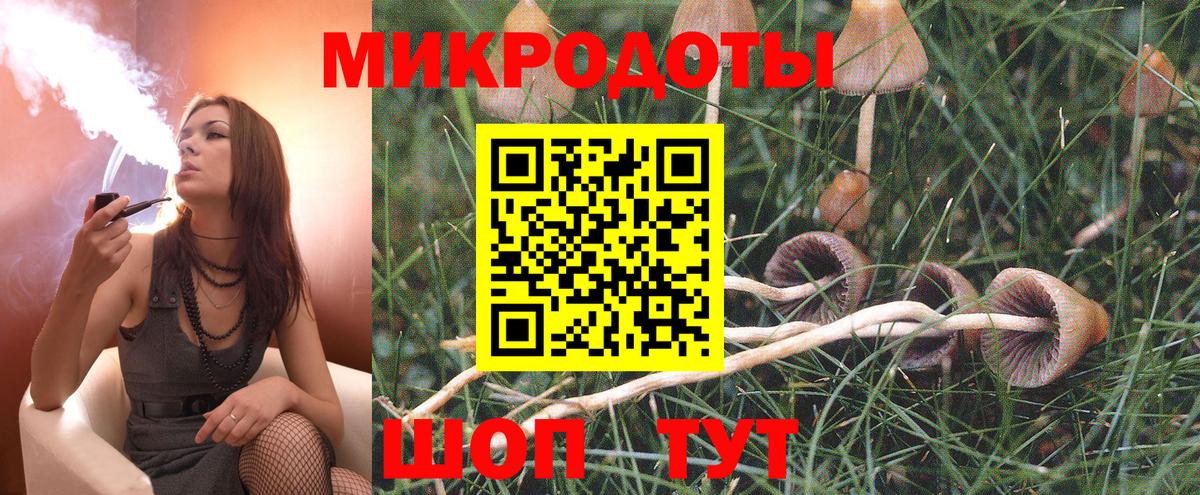 Псилоцибиновые грибы мухоморы Дербент